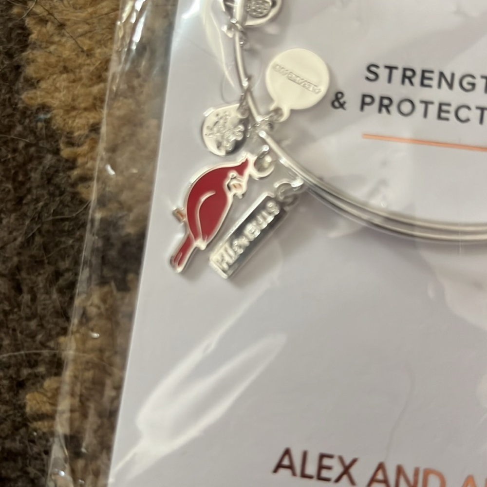 Alex and Ani Silver Bangle with Red Bird Charm - Picture 6 of 6
